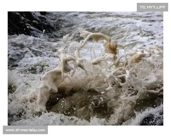 巴西暴雨致公开水域训练受限 选手转战人工湖适应新环境